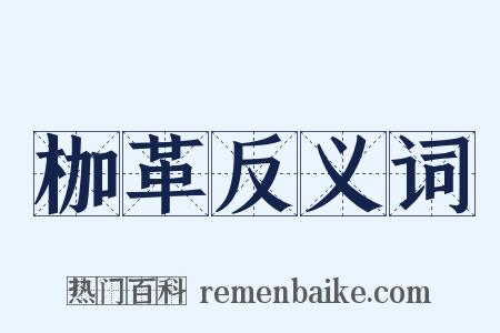 枷革反义词是什么意思的图片